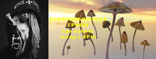 прущие крисы Белокуриха