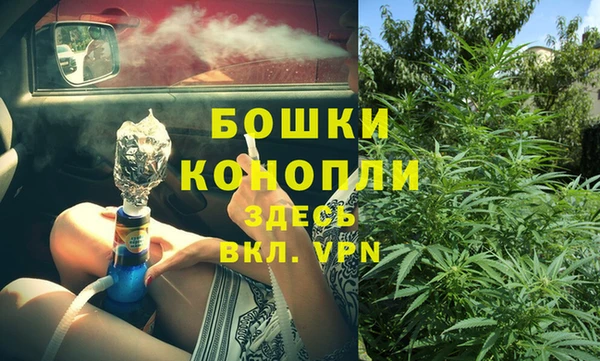 стаф Сосновоборск